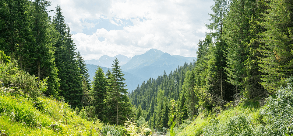 Switzerland Climate Week
